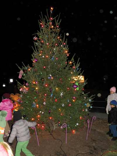 Dewey Beach Christmas Tree 2012