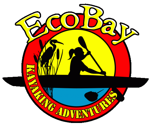 Ecobay Kayak & S.U.P.